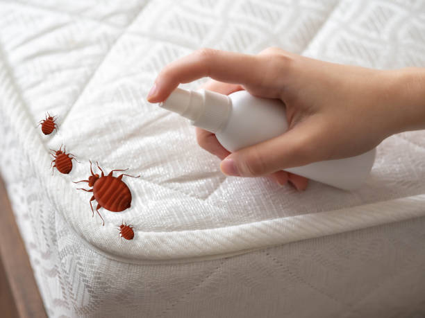 Best Residential Pest Control  in Rkville, PA